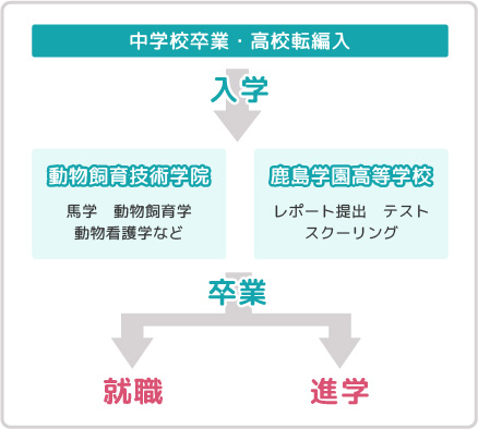 中学校卒業・高校転編入