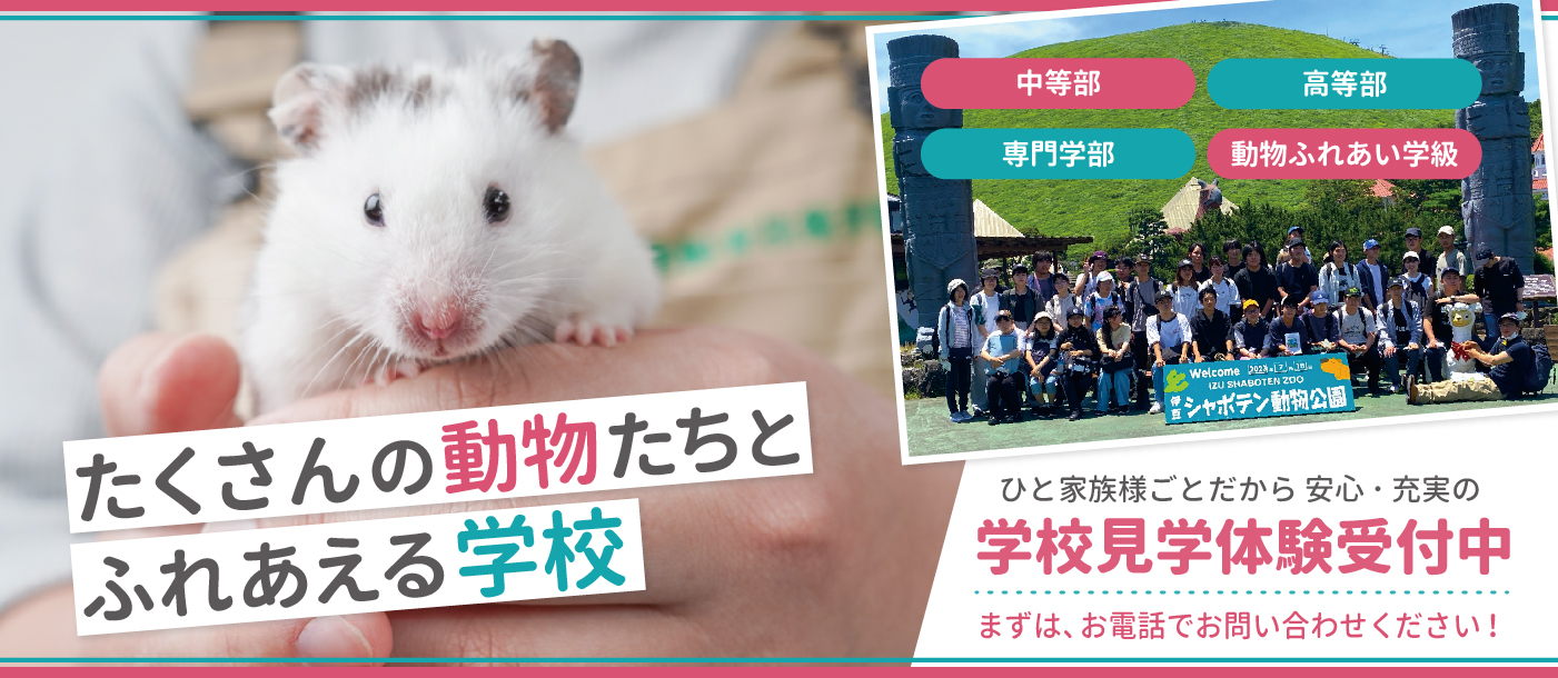 たくさんの動物たちとふれあえる学校